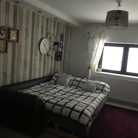 Maison Rosmina Braşov Extérieur photo