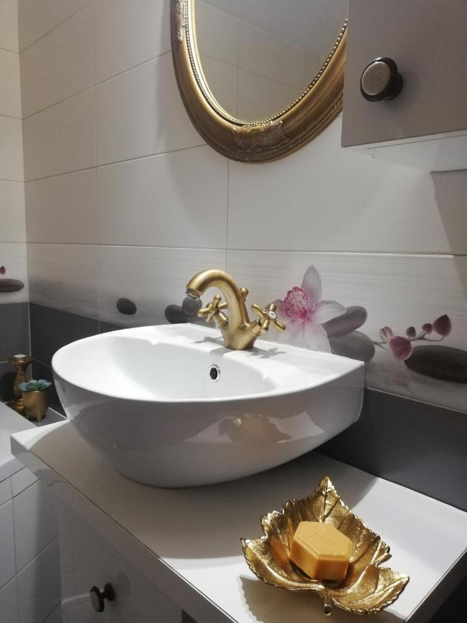 Maison Rosmina Braşov Extérieur photo