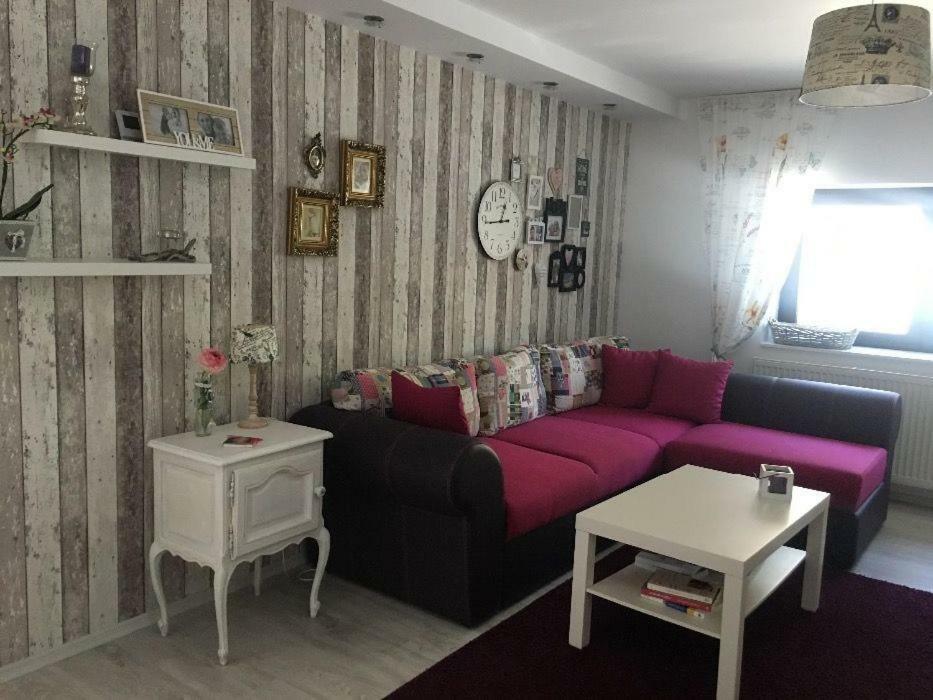 Maison Rosmina Braşov Extérieur photo