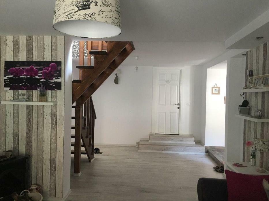 Maison Rosmina Braşov Extérieur photo
