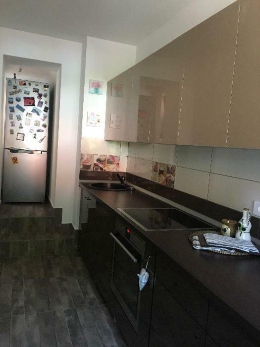 Maison Rosmina Braşov Extérieur photo
