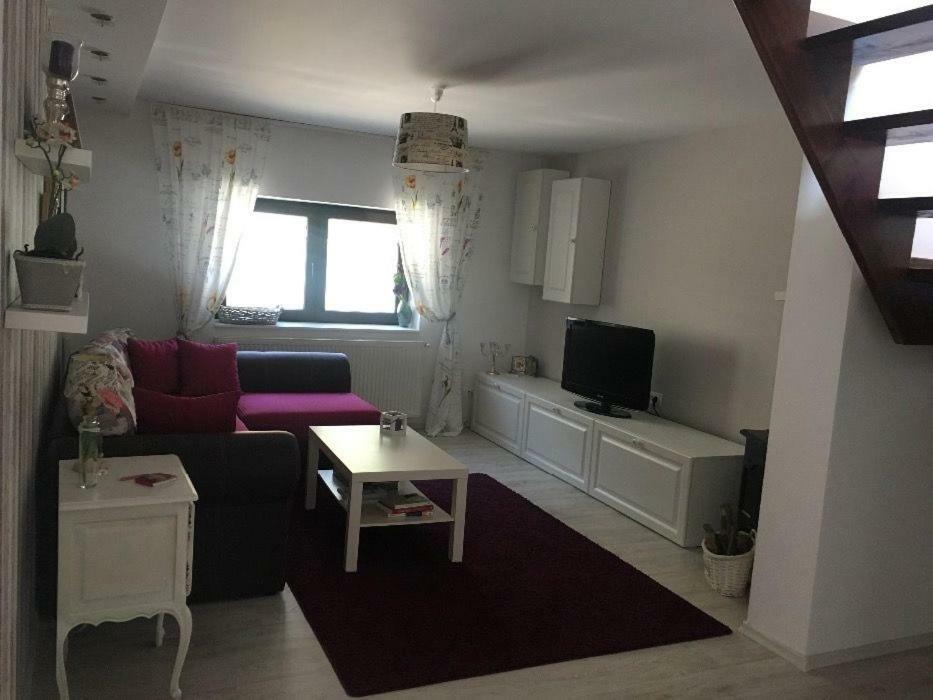 Maison Rosmina Braşov Extérieur photo
