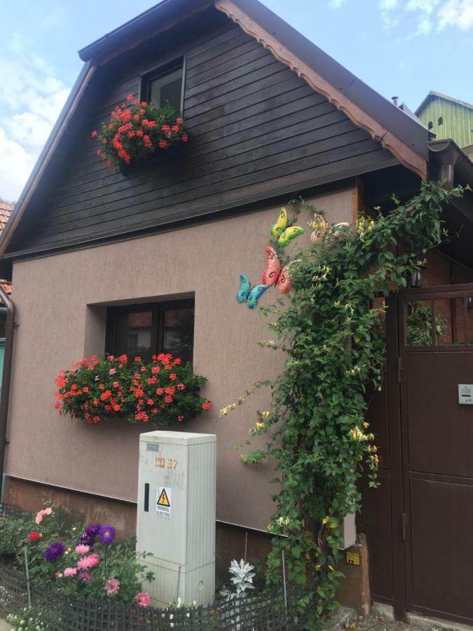Maison Rosmina Braşov Extérieur photo