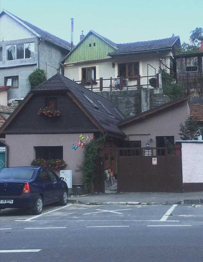 Maison Rosmina Braşov Extérieur photo