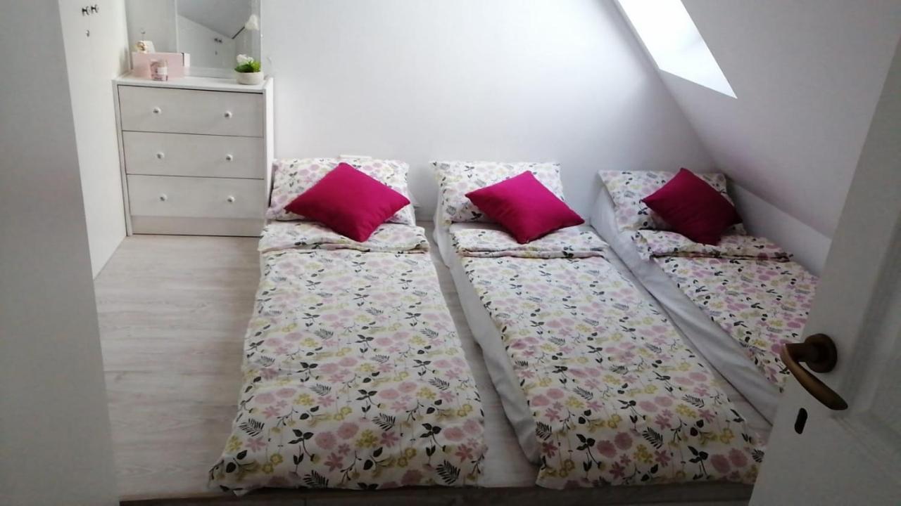 Maison Rosmina Braşov Extérieur photo